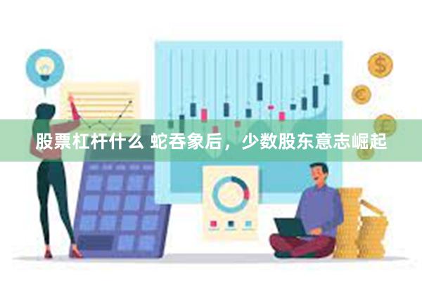 股票杠杆什么 蛇吞象后，少数股东意志崛起