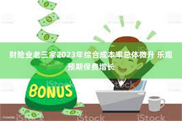 财险业老三家2023年综合成本率总体微升 乐观预期保费增长