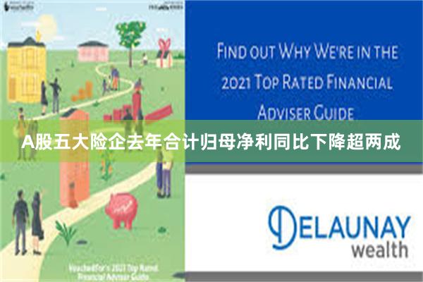 A股五大险企去年合计归母净利同比下降超两成