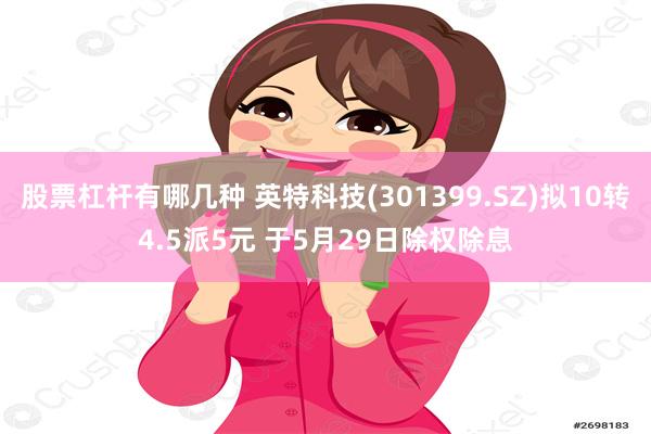 股票杠杆有哪几种 英特科技(301399.SZ)拟10转4.5派5元 于5月29日除权除息