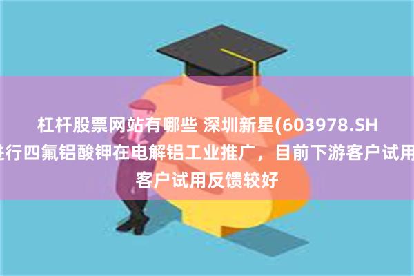 杠杆股票网站有哪些 深圳新星(603978.SH)：持续进行四氟铝酸钾在电解铝工业推广，目前下游客户试用反馈较好