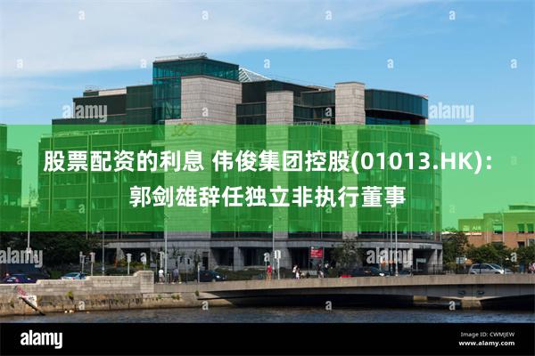 股票配资的利息 伟俊集团控股(01013.HK)：郭剑雄辞任独立非执行董事