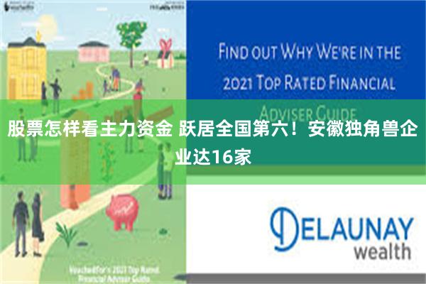 股票怎样看主力资金 跃居全国第六！安徽独角兽企业达16家
