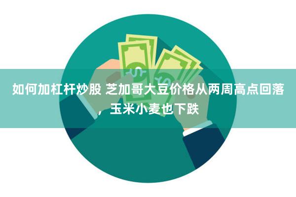 如何加杠杆炒股 芝加哥大豆价格从两周高点回落，玉米小麦也下跌