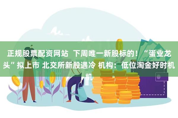 正规股票配资网站  下周唯一新股标的！“蛋业龙头”拟上市 北交所新股遇冷 机构：低位淘金好时机