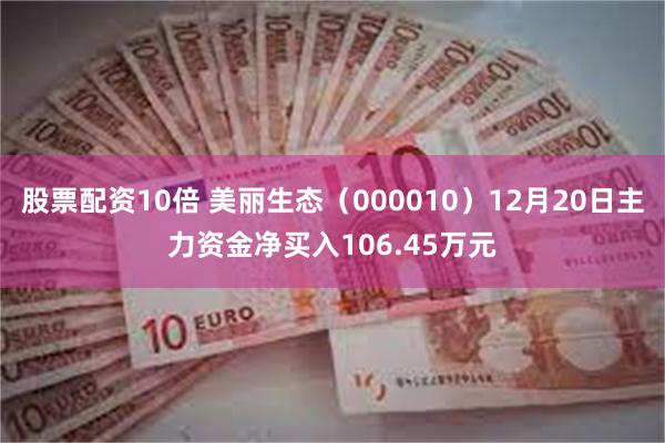 股票配资10倍 美丽生态（000010）12月20日主力资金净买入106.45万元