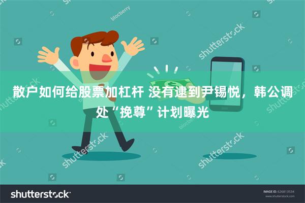 散户如何给股票加杠杆 没有逮到尹锡悦，韩公调处“挽尊”计划曝光