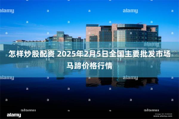 怎样炒股配资 2025年2月5日全国主要批发市场马蹄价格行情