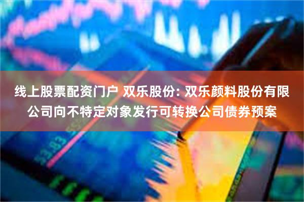 线上股票配资门户 双乐股份: 双乐颜料股份有限公司向不特定对象发行可转换公司债券预案