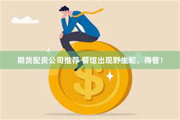期货配资公司推荐 餐馆出现野生蛇，得管！