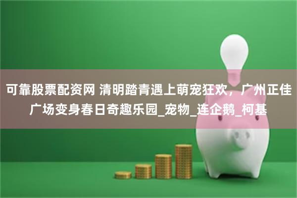 可靠股票配资网 清明踏青遇上萌宠狂欢，广州正佳广场变身春日奇趣乐园_宠物_连企鹅_柯基