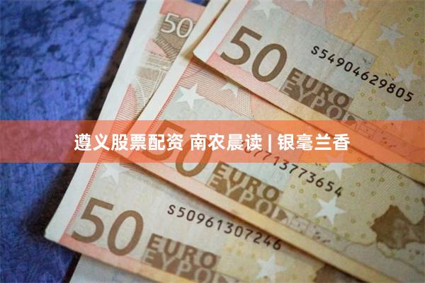 遵义股票配资 南农晨读 | 银毫兰香