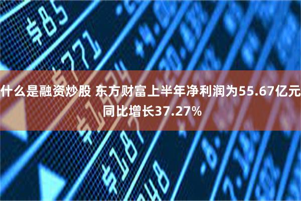 什么是融资炒股 东方财富上半年净利润为55.67亿元 同比增长37.27%