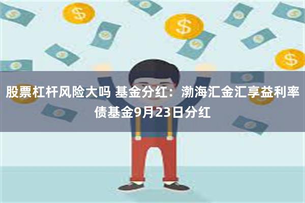 股票杠杆风险大吗 基金分红：渤海汇金汇享益利率债基金9月23日分红